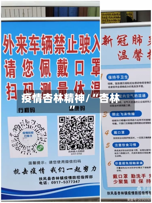 疫情杏林精神/“杏林”-第2张图片