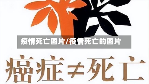 疫情死亡图片/疫情死亡的图片-第2张图片