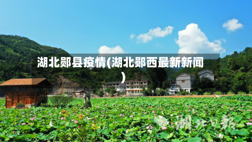 湖北郧县疫情(湖北郧西最新新闻)-第1张图片