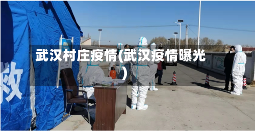 武汉村庄疫情(武汉疫情曝光)-第1张图片