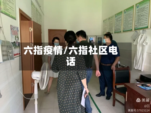 六指疫情/六指社区电话-第2张图片
