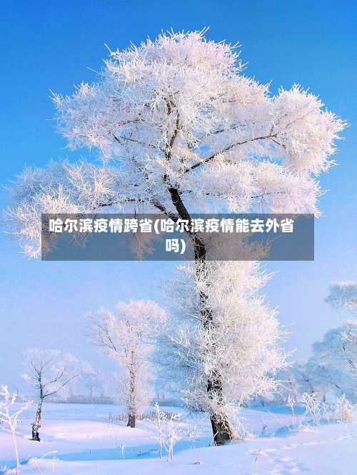 哈尔滨疫情跨省(哈尔滨疫情能去外省吗)-第1张图片