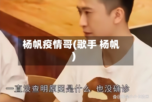 杨帆疫情哥(歌手 杨帆)-第2张图片