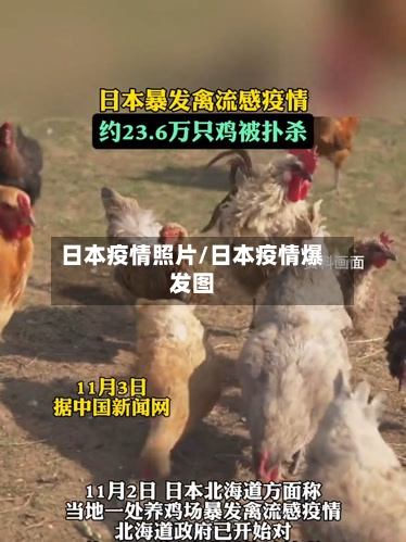 日本疫情照片/日本疫情爆发图-第2张图片