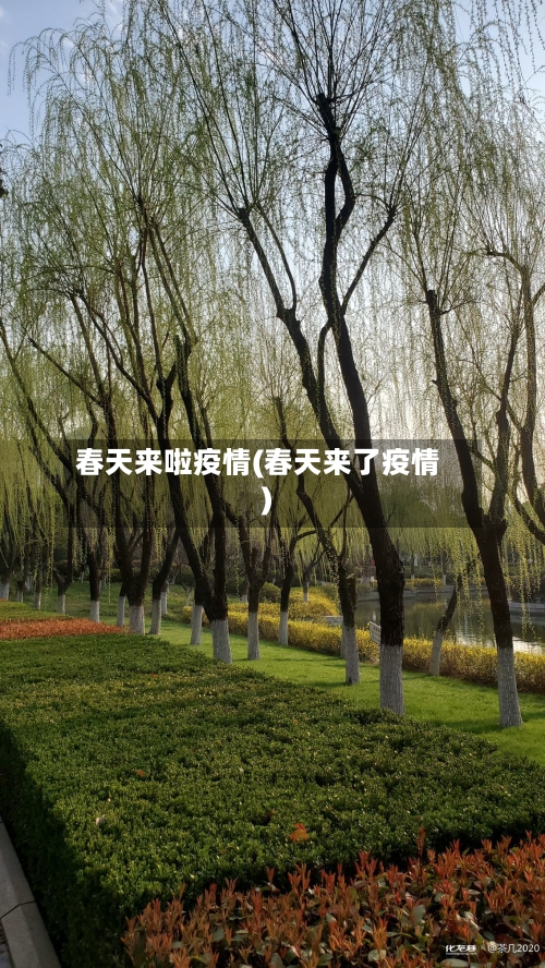 春天来啦疫情(春天来了疫情)-第2张图片