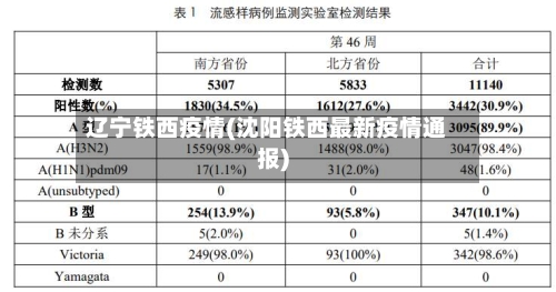 辽宁铁西疫情(沈阳铁西最新疫情通报)-第2张图片