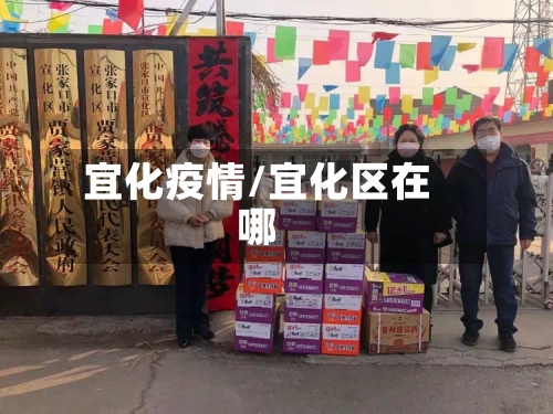 宜化疫情/宜化区在哪-第3张图片