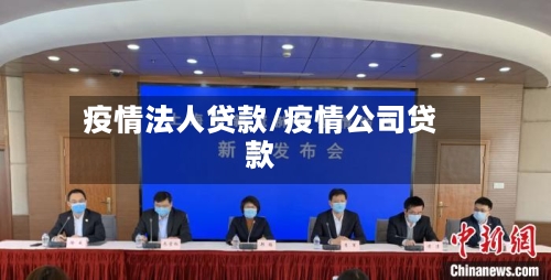 疫情法人贷款/疫情公司贷款-第2张图片