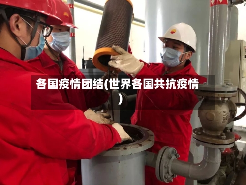 各国疫情团结(世界各国共抗疫情)-第3张图片