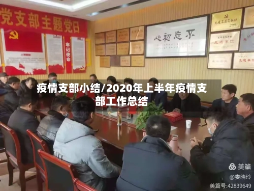 疫情支部小结/2020年上半年疫情支部工作总结-第1张图片