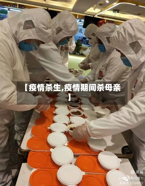 【疫情杀生,疫情期间杀母亲】-第3张图片