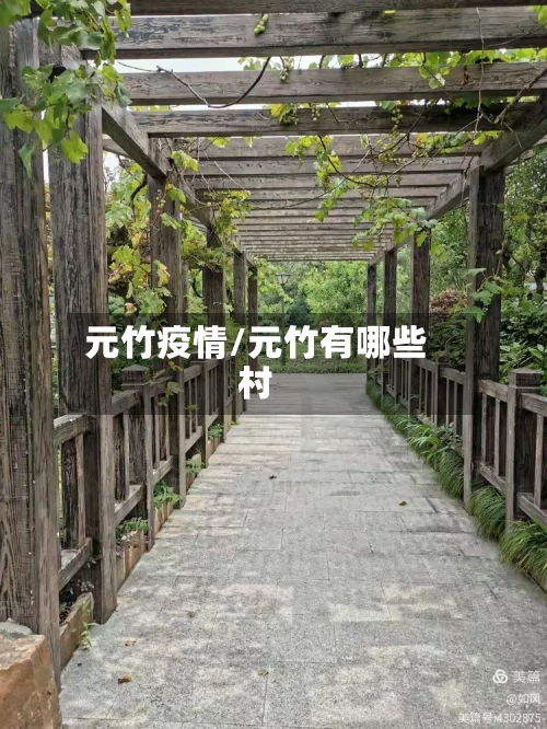 元竹疫情/元竹有哪些村-第3张图片