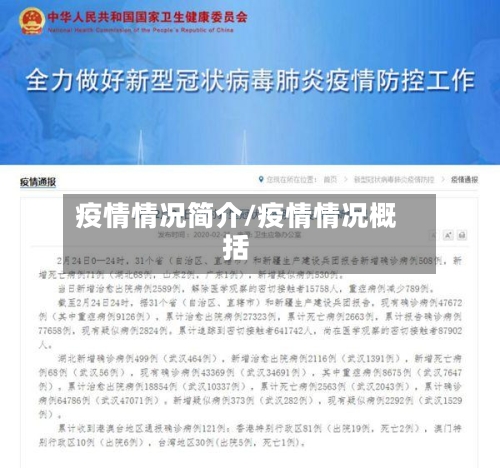 疫情情况简介/疫情情况概括-第1张图片