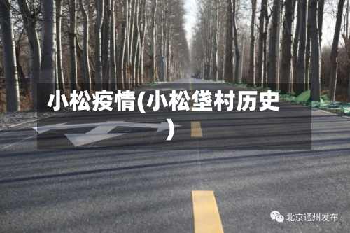小松疫情(小松垡村历史)-第1张图片